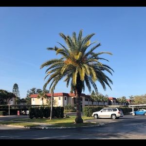 Meet your Posher, Fran